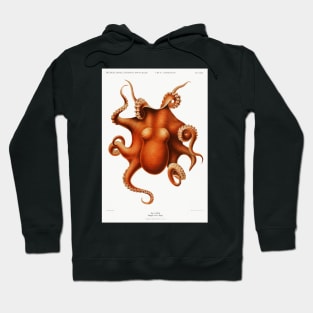 Octopus Hoodie